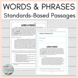 Words & Phrase Context Clues Comprehension Passages and Questions Test Prep